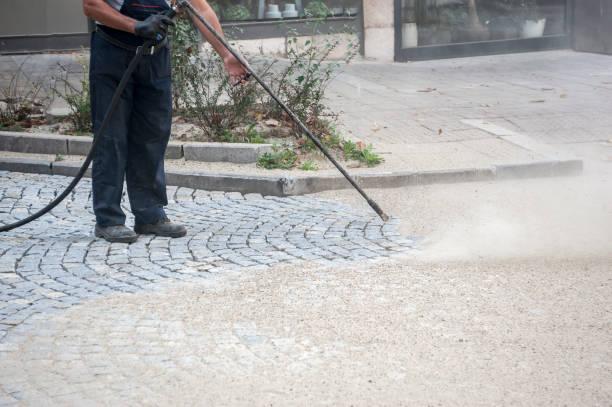 Best Pre-Holiday Cleaning  in Zebulon, NC