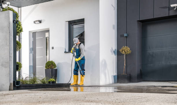 Best Roof Washing  in Zebulon, NC